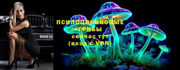 прущие грибы Алексин