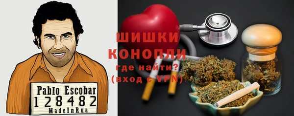 прущие грибы Алексин