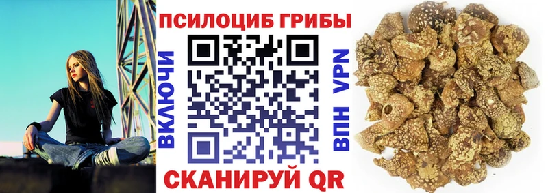 Галлюциногенные грибы MAGIC MUSHROOMS  Павловская 